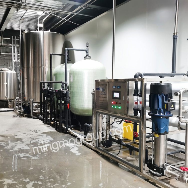 Tanzania-10T/H Reverse Osmosis Equipment for Food Factory