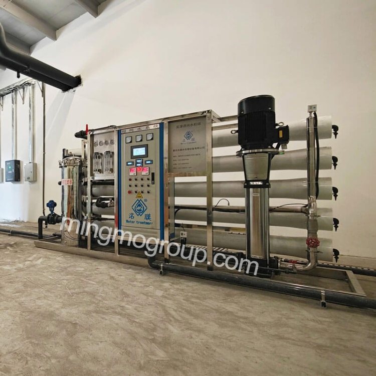 Philippines-RO+EDI Ultrapure Water Plant for Electronics Enterprise