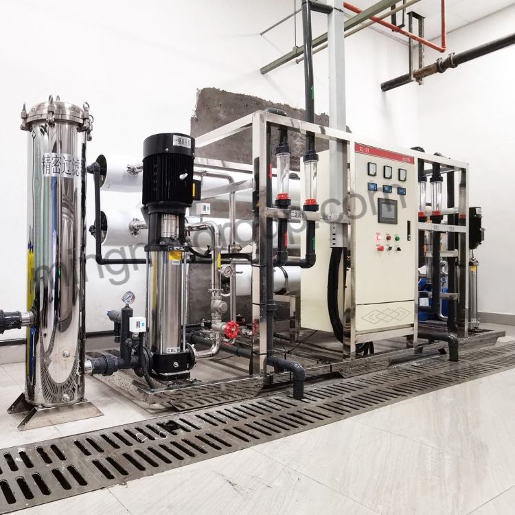Malaysia-3T/H Dual-stage Ultra Pure Water System